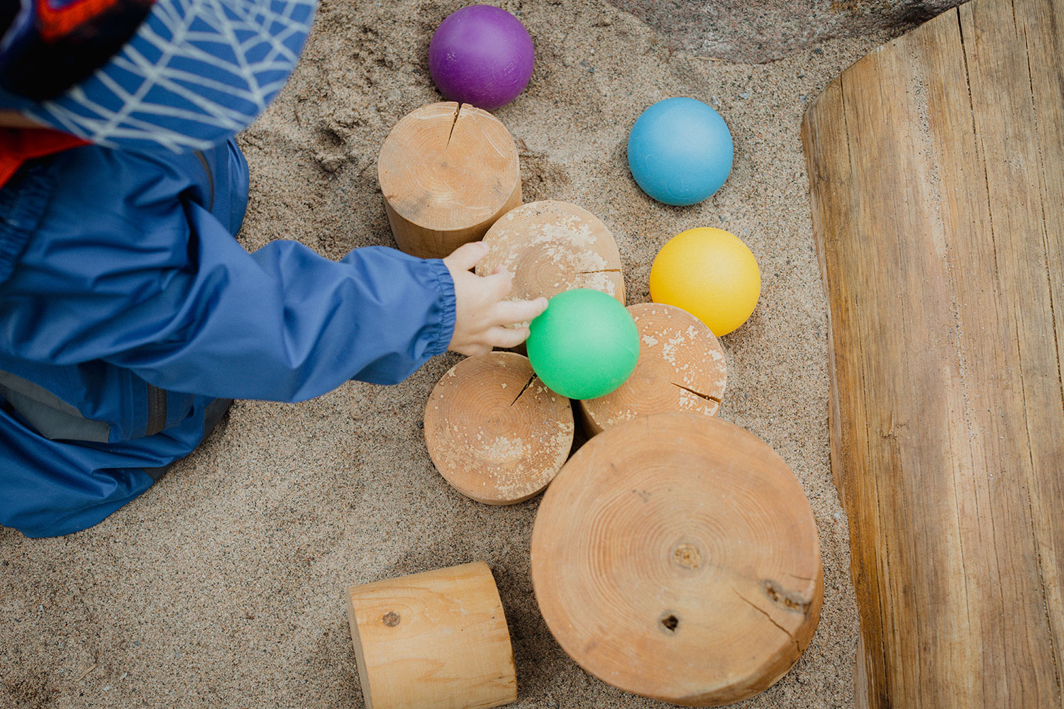 Section Supporting Image